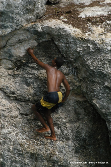 FlashPoint Film & Music Festival @ The Caves, West End, Negril - Saturday, July 30 and Sunday July 31, 2005 - Negril Travel Guide, Negril Jamaica WI - http://www.negriltravelguide.com - info@negriltravelguide.com...!