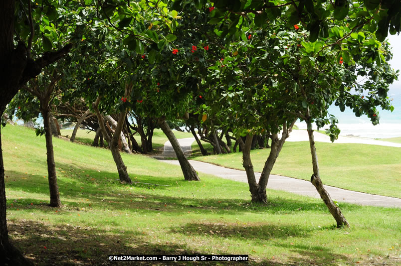 Rose Hall Resort & Golf Club / Cinnamon Hill Golf Course - IAGTO SuperFam Golf - Thursday, June 26, 2008 - Jamaica Welcome IAGTO SuperFam - Sponsored by the Jamaica Tourist Board, Half Moon, Rose Hall Resort & Country Club/Cinnamon Hill Golf Course, The Rose Hall Golf Association, Scandal Resort Golf Club, The Tryall Club, The Ritz-Carlton Golf & Spa Resort/White Witch, Jamaica Tours Ltd, Air Jamaica - June 24 - July 1, 2008 - If golf is your passion, Welcome to the Promised Land - Negril Travel Guide, Negril Jamaica WI - http://www.negriltravelguide.com - info@negriltravelguide.com...!